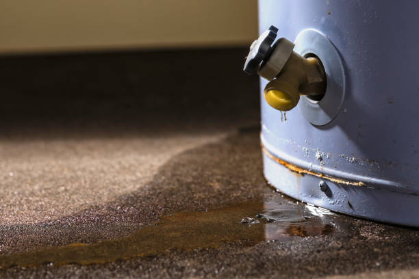 Best Water damage restoration experts  in Westbrook, ME