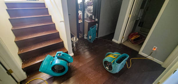  Westbrook, ME Water damage restoration Pros
