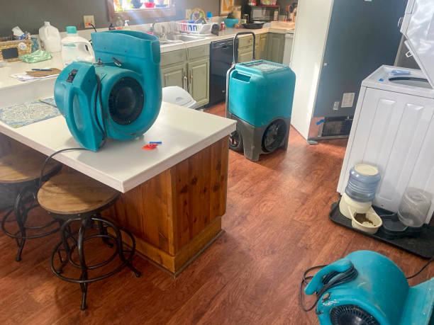Best Water damage contractors near me  in Westbrook, ME