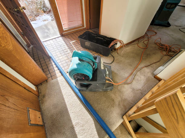 Best Flooded house restoration  in Westbrook, ME