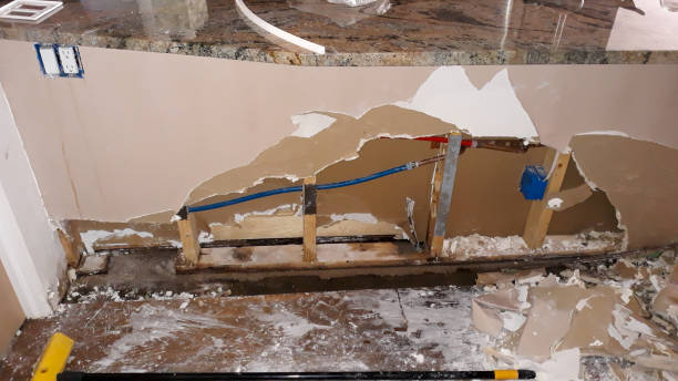 Best Professional water damage repair  in Westbrook, ME