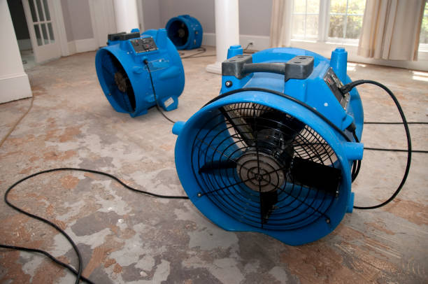 Best Basement water damage restoration  in Westbrook, ME